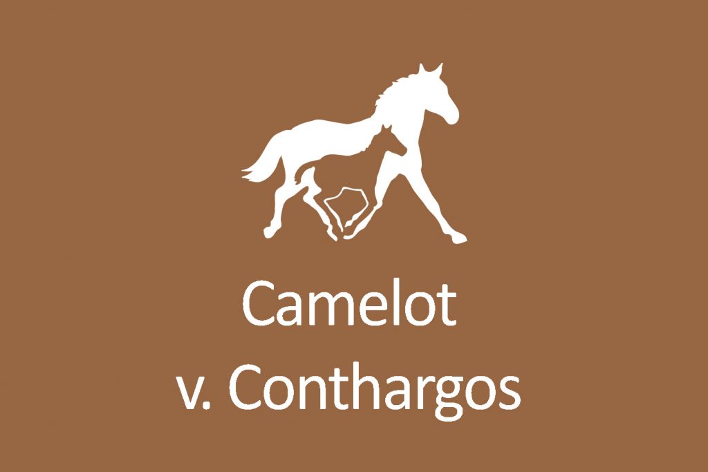 The colt Camelot, born 2017, is a descendant of Conthargos v. Converter and Rameau de Fleuri v. Aljano. There is no doubt that he inherited the noble proportions and sporty habit of the two outstanding bloodlines.