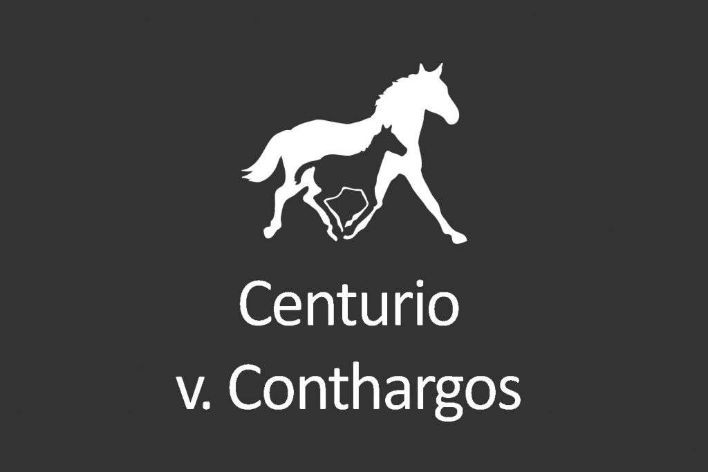 The colt Centurio, born 2018, comes from the top stallion Conthargos by Converter and Rameau de Fleuri v. Aljano. Centurio is another hopeful descendant of the bloodlines who have already hit the big stage.