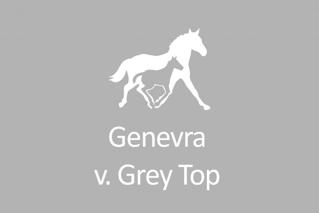 The young mare Genevra, born 2017, has the Grande Prize winner 2019, the top stallion Gray Top by Graf Top as father and Esmeralda v. Escudo as her mother. With excellent proportions, Genevra is a first-class offspring of well thought-out mating.