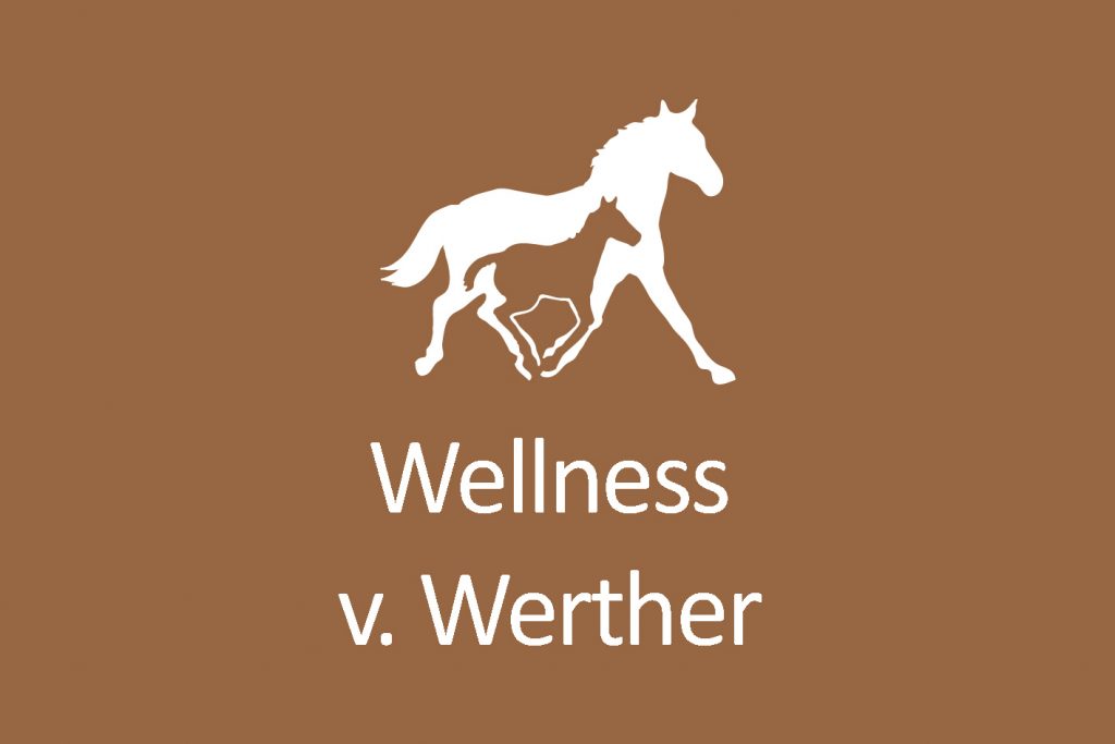 Wellness v. Werther
